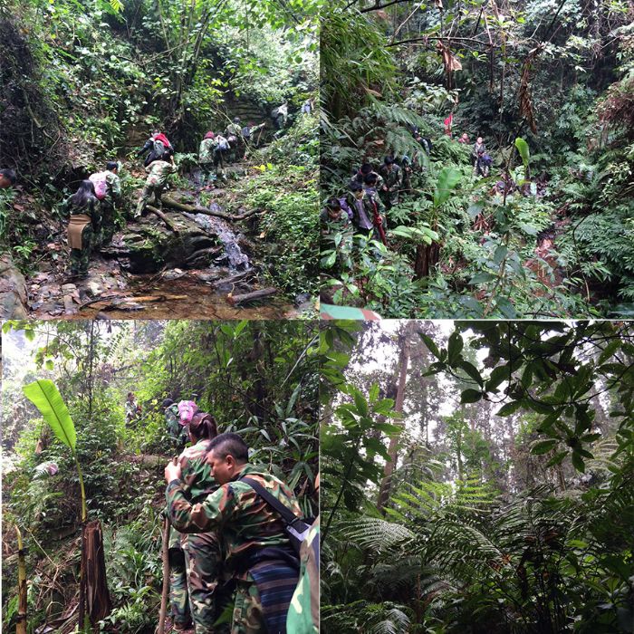 首页- Z6官网中国区人生就是博