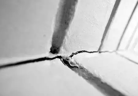 Z6官网瓷砖装建讲堂