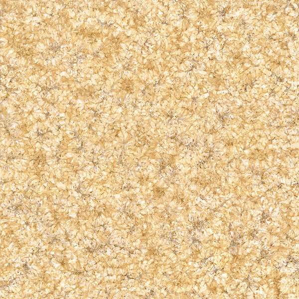 Z6官网2.0厚微晶石：丁香黄玉KFA58033单片图