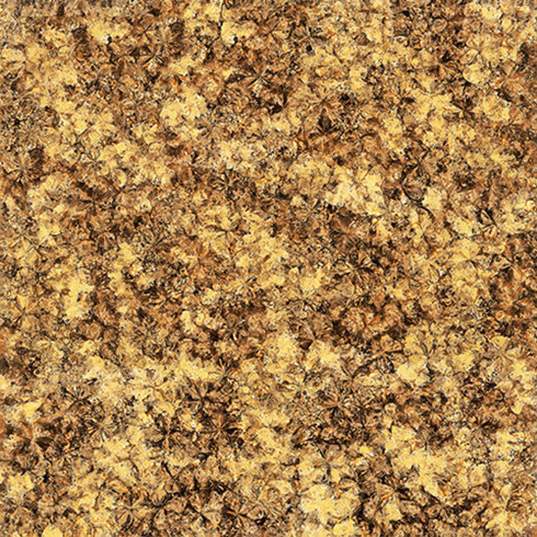 Z6官网2.0厚微晶石：浅金啡KFB88012单片