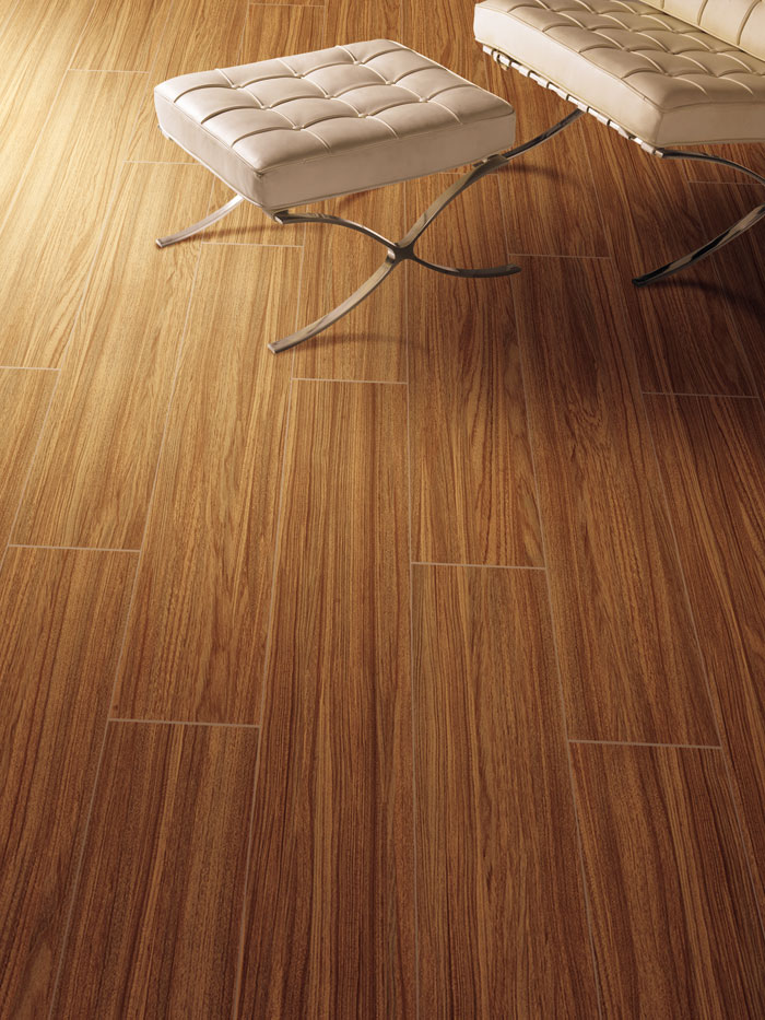 最美，不外当阳光赶上丛林