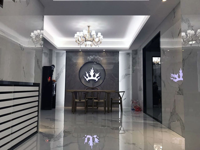 Z6官网瓷砖 揭阳榕城300方专卖店盛装开业，感触全新的视觉盛宴