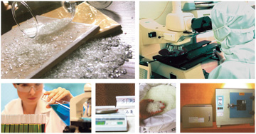 首页- Z6官网中国区人生就是博