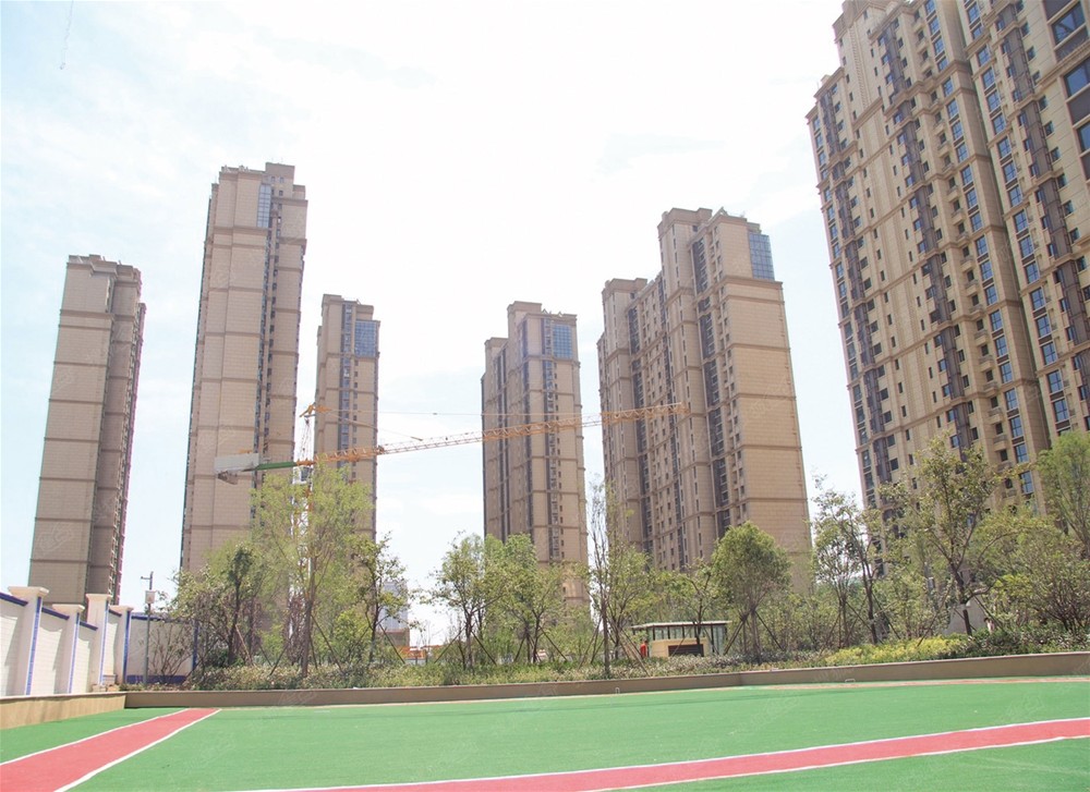 首页- Z6官网中国区人生就是博