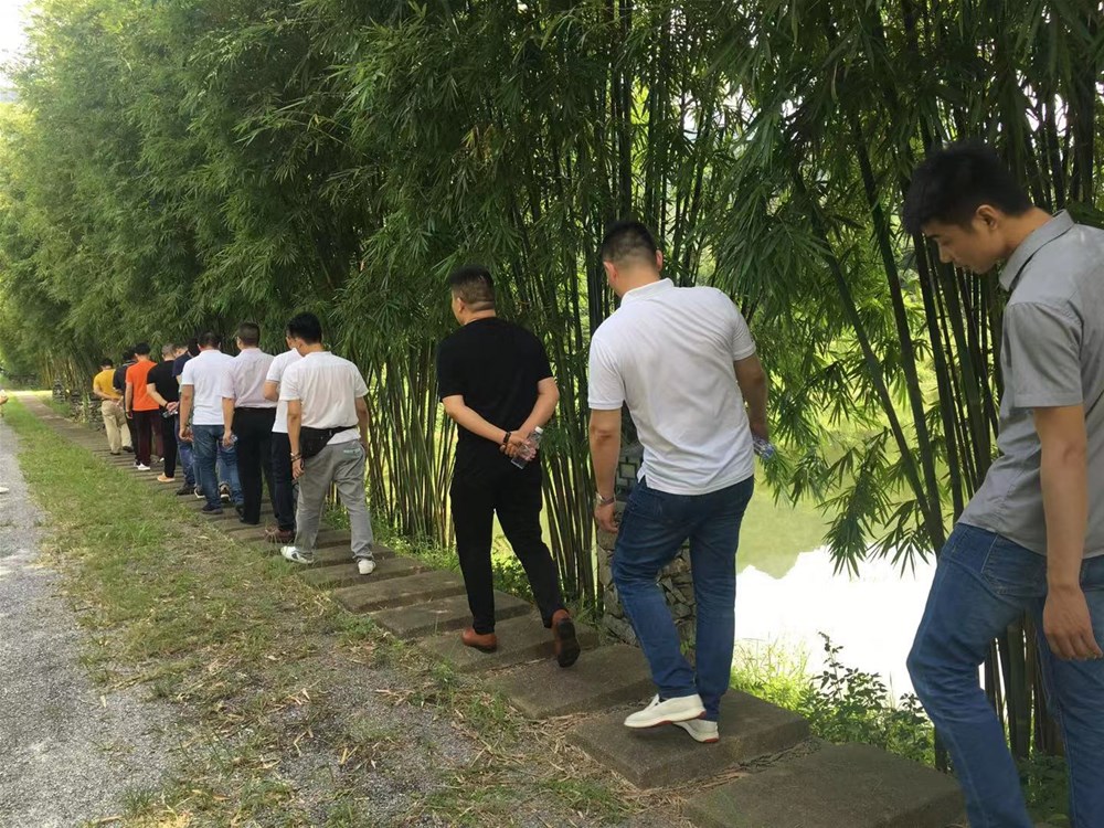 首页- Z6官网中国区人生就是博