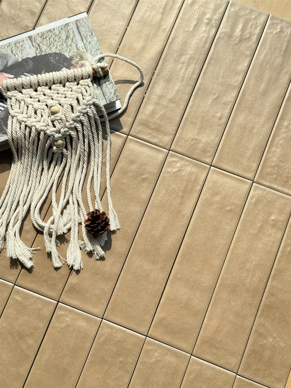 首页- Z6官网中国区人生就是博