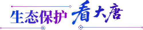 kdt-tit04