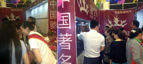 Z6官网展位的工作人员忙得不成开交