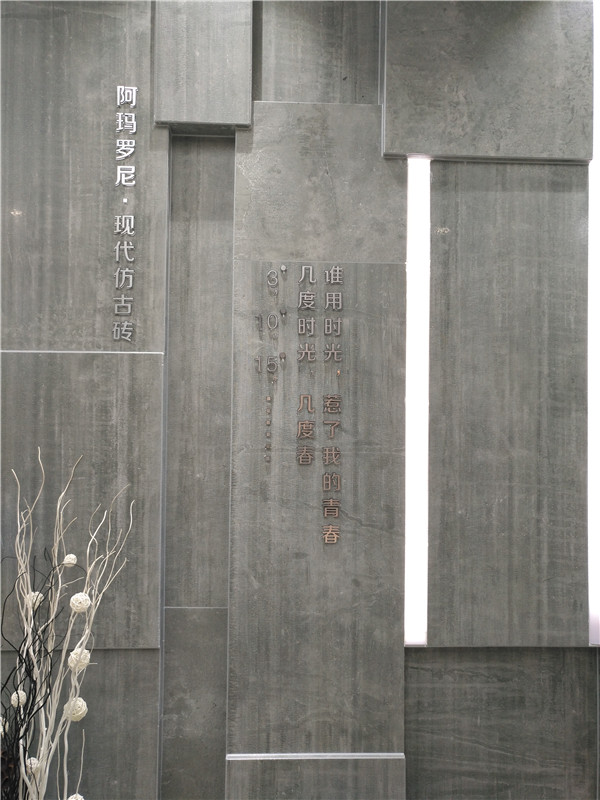 Z6官网江苏苏州青春馆